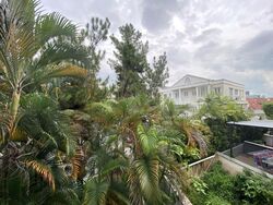 Banyan Park (D5), Terrace #512656511